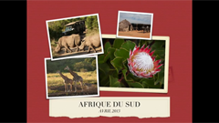 Zabell - Voyage en Afrique du Sud 2013